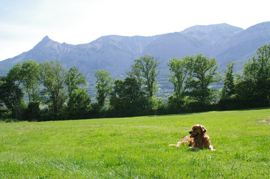 Vvf Les Ecrins Champsaur Hotel Saint-Bonnet-en-Champsaur Exterior foto